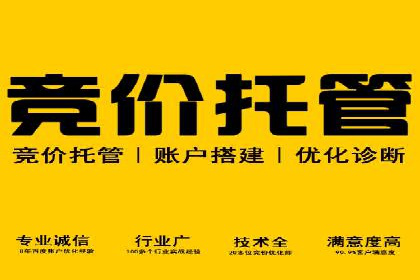 百度竞价托管助力品牌影响力提升案例